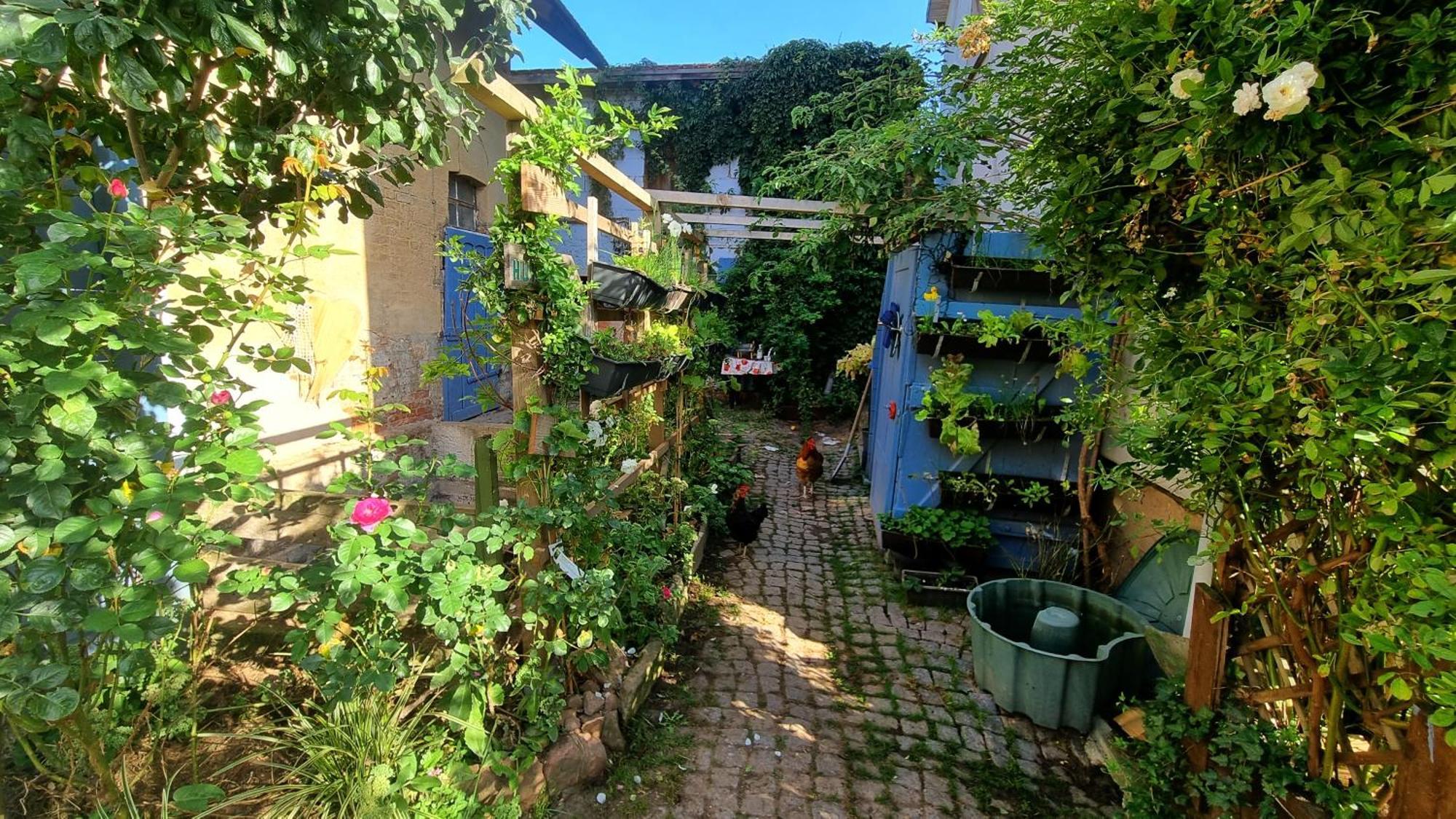 Bauernhof Privatzimmer Hortus Sandrine Gemeinschaftsbad Free Wifi Hausbreitenbach Екстер'єр фото